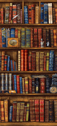 Книжные полки ткань 2095 (150)